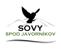 logo1